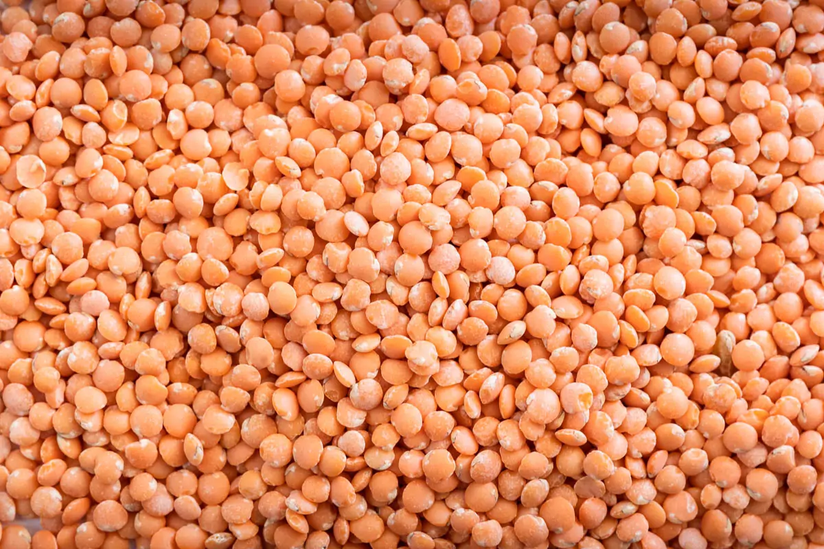Orange Lentils