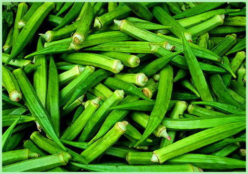 Okra (Ladies Finger)